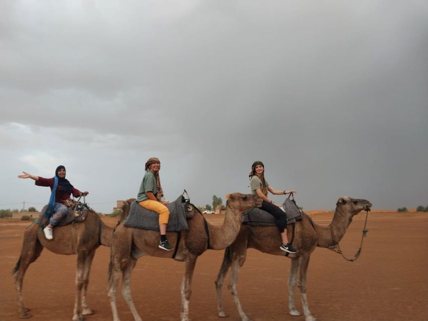 From Marrakech: 4-Day 3-Night Desert Adventure to Fes - Customer Reviews
