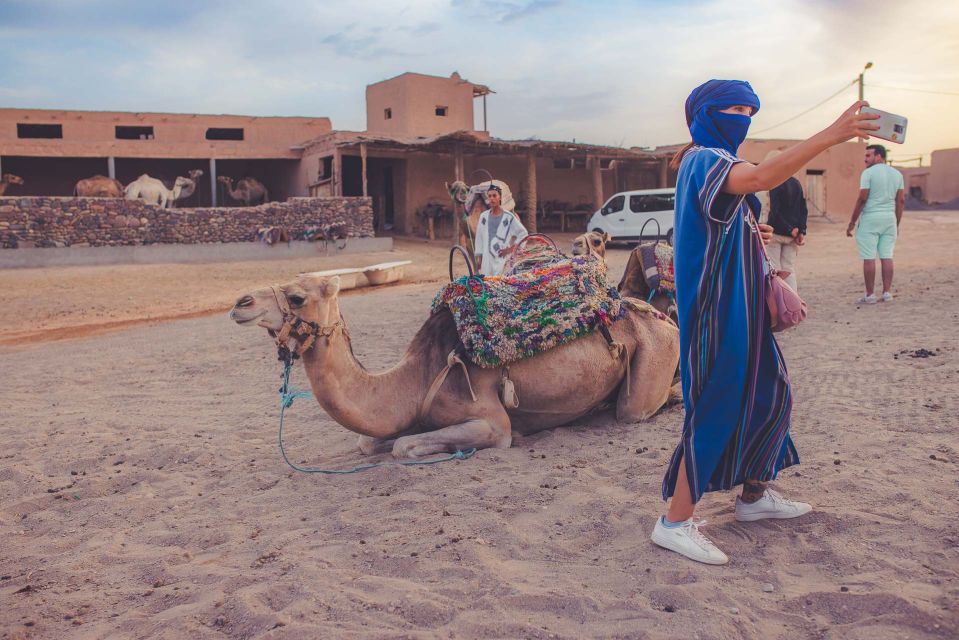 From Marrakech: Agafay Desert Camel Ride and Dinner and Show - Inclusions in the Desert Camel Ride Package