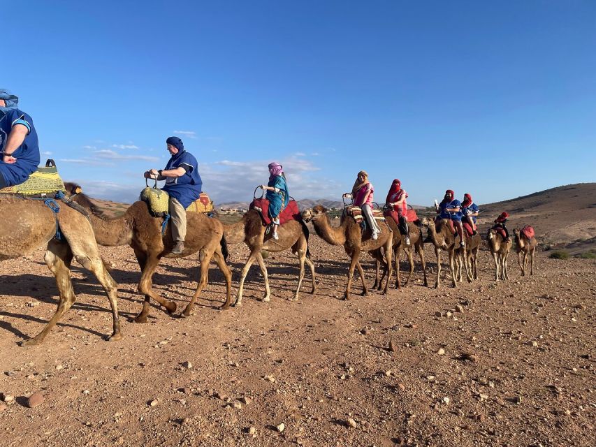 From Marrakech : Agafay Desert Quad & Camel Tour Combo - Activities and Itinerary
