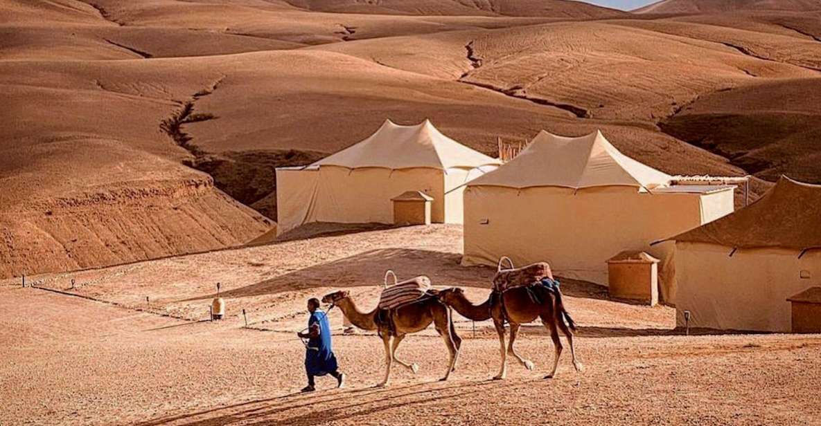 From Marrakech: Agafay Desert Sunset Camel & Dinner - Reviews