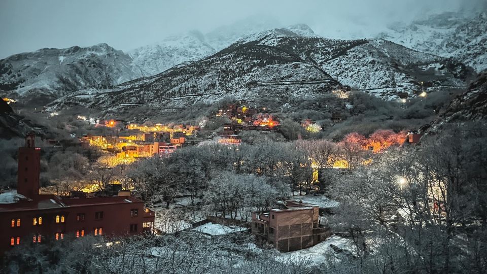 From Marrakech: Atlas Mountains & Toubkal Museum Day Tour - Customer Reviews and Feedback