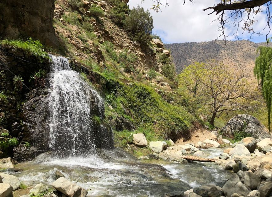 From Marrakech: Day Trip to Ourika Valley - Customer Reviews