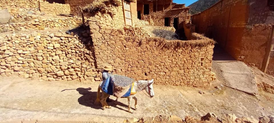 From Marrakech: High Atlas Post-Earthquake Berber Life Tour - Safety Measures