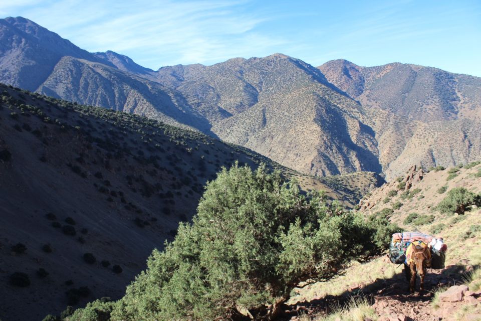 From Marrakech: Imlil and Waterfalls Day Trip With Lunch - Experience Description