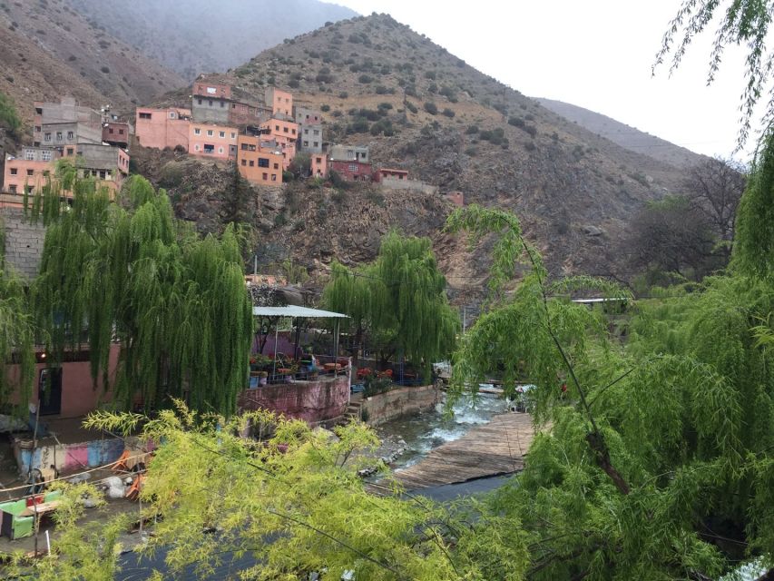 From Marrakech: Ourika Valley Day Trip With Lunch - Review Summary