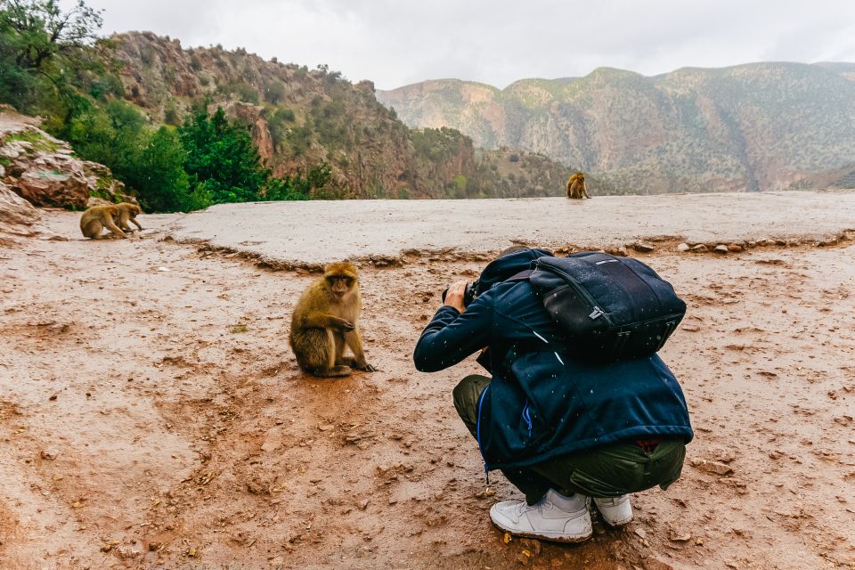 From Marrakech: Ouzoud Waterfalls Guided Hike and Boat Trip - Tour Description