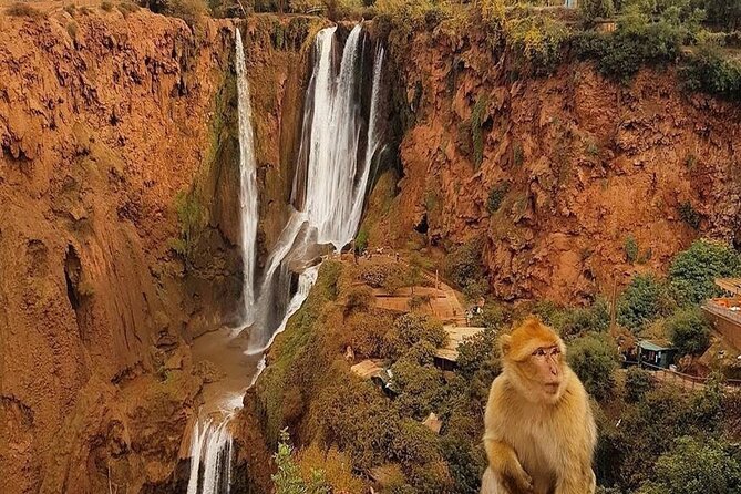 From Marrakech: Ouzoud Waterfalls Guided Hike and Boat Trip - Booking Information