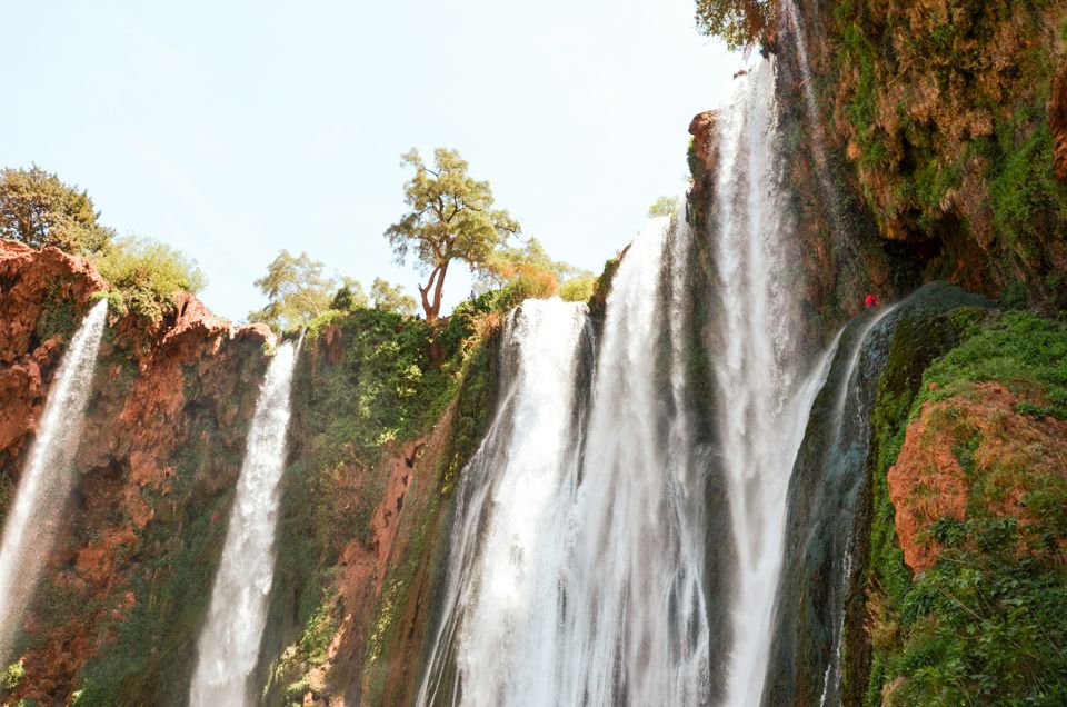 From Marrakech: Ouzoud Waterfalls Guided Tour & Boat Ride - Review Summary and Ratings