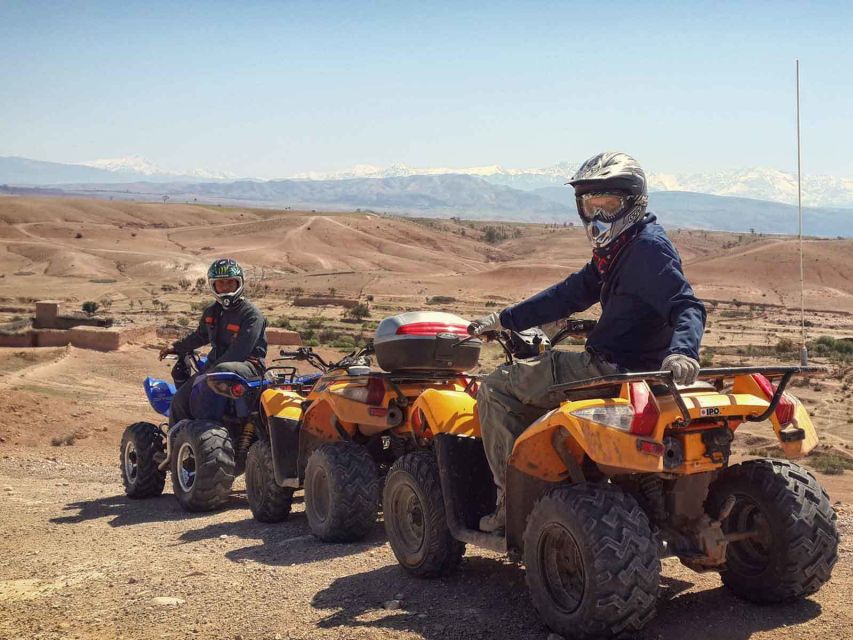 From Marrakech : Palm Grove Quad Bike Tour - Customer Feedback and Recommendations