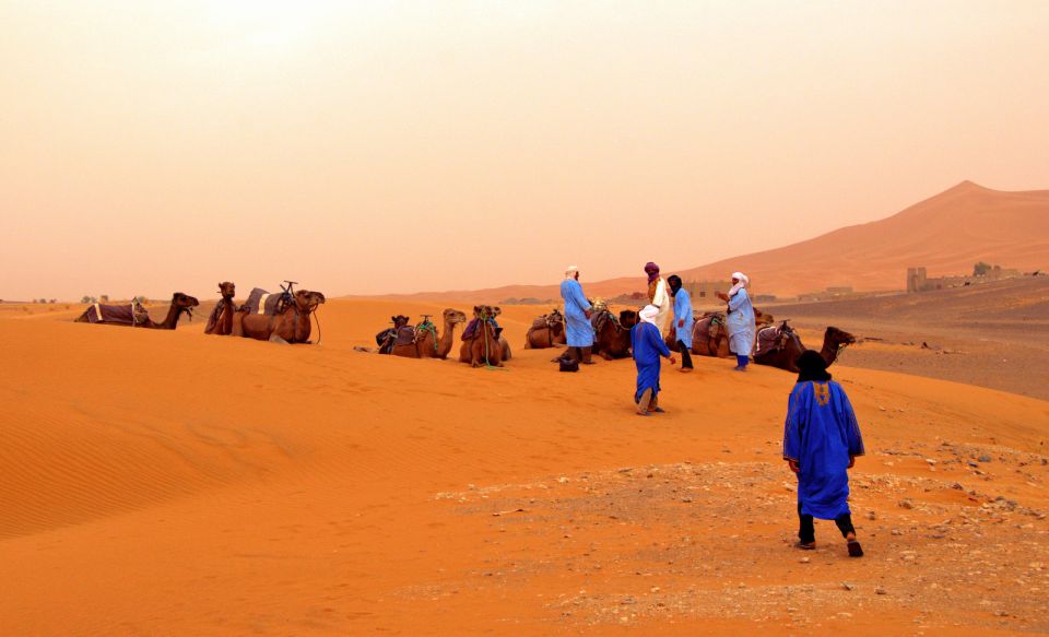 From Marrakech: Sahara Desert 3-Day Group Tour - General Information
