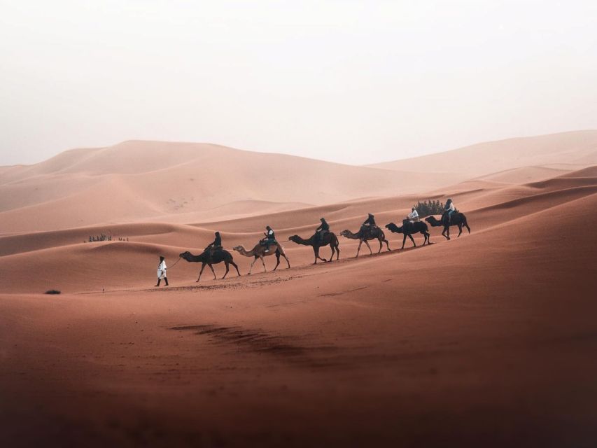 From Marrakech to Chefchaouen via Sahara Desert and Fes - Practical Tips for Travelers