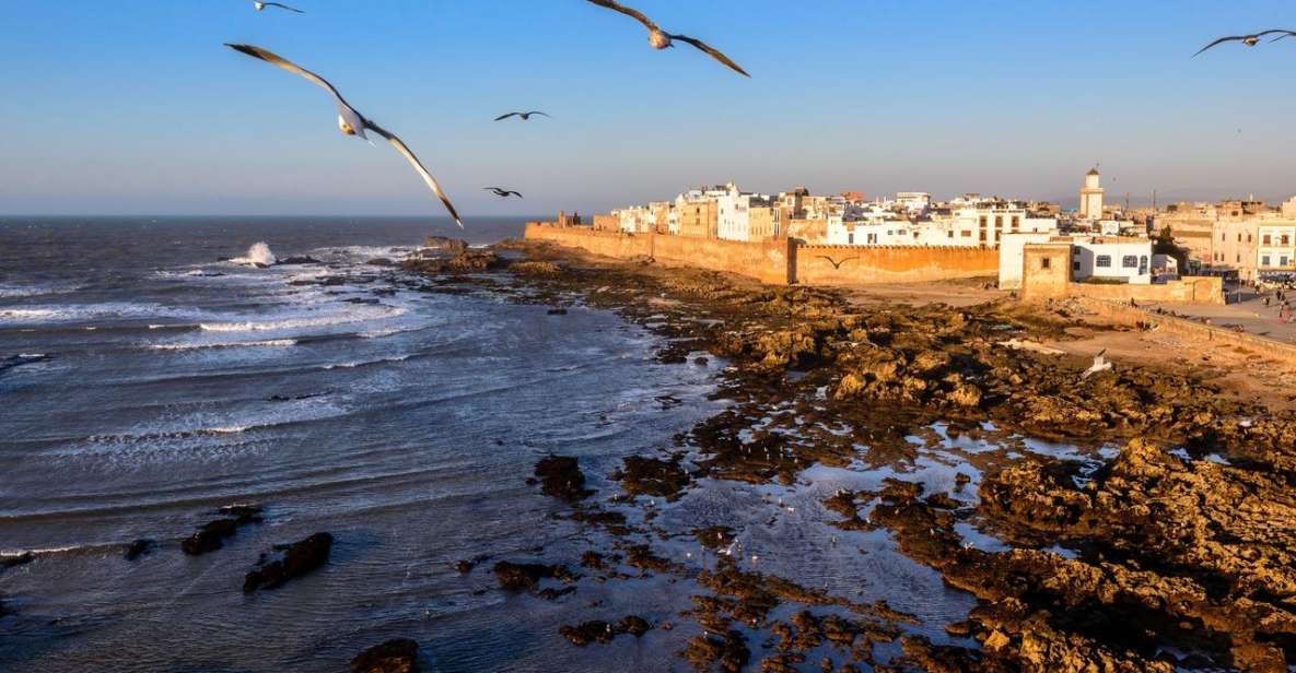From Marrakech To Essaouira Mogador Full Day Trip - Last Words