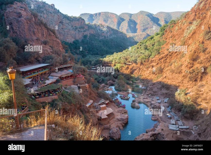 From Marrakech to Ouzoud Waterfall: 1-Day - Encounter With Barbary Macaque Monkeys