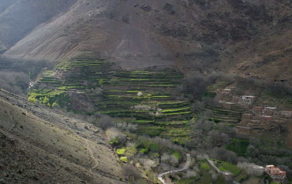 From Marrakesh: 3-Day Trip to Berber Villages - Last Words