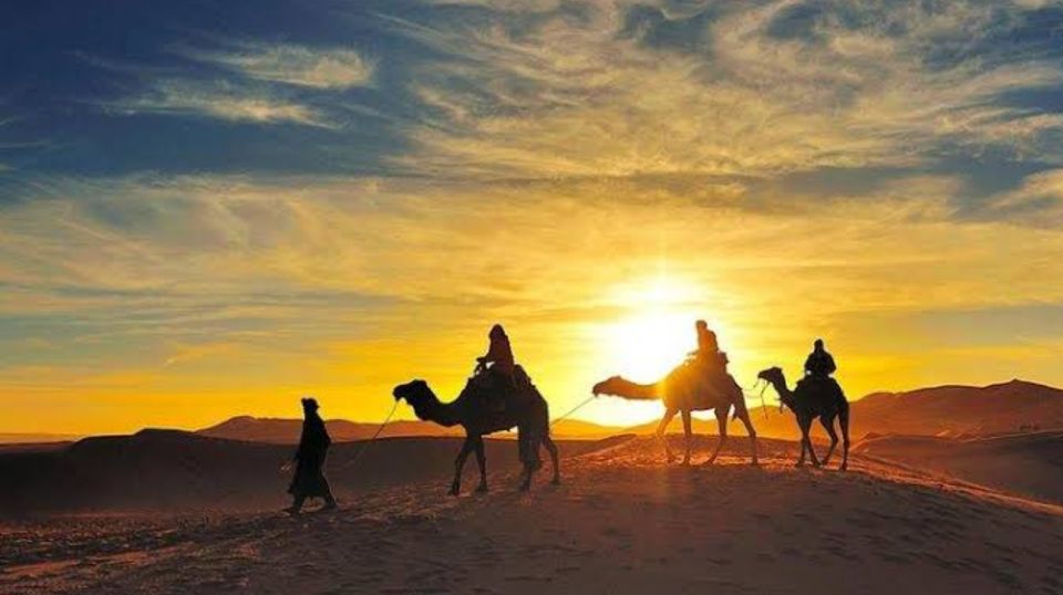 From Marrakesh: Agafay Desert Sunset, Camel Ride, and Dinner - Customer Reviews