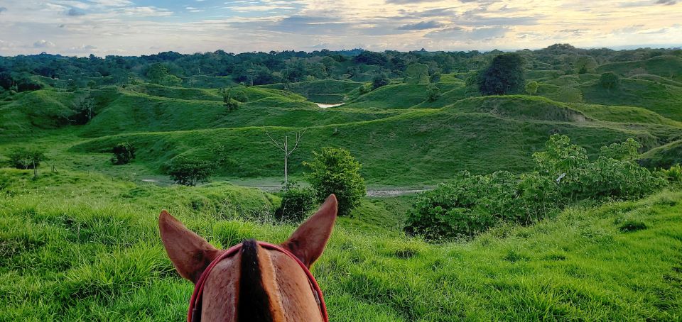 From Medellin; (All-In) The Real Horseback Ranch Experience - Inclusions