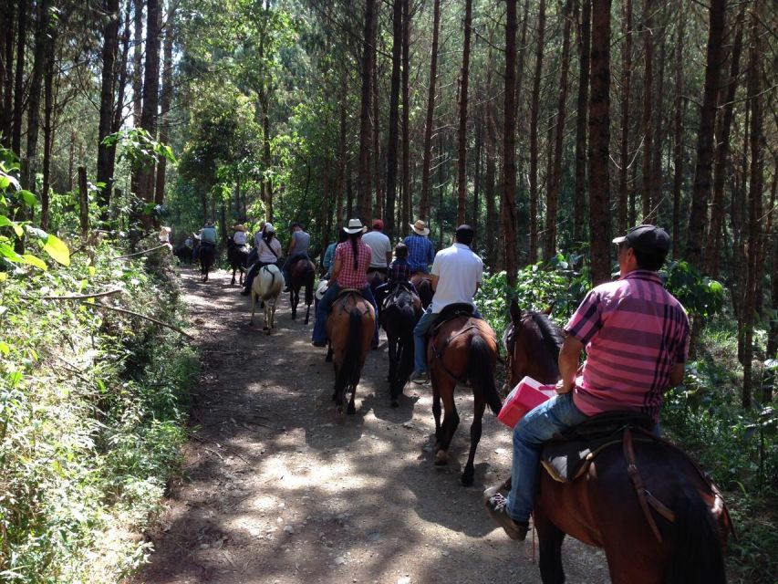 From Medellin: Guided Horseback Riding Tour in Nature - Cost and Logistics Information