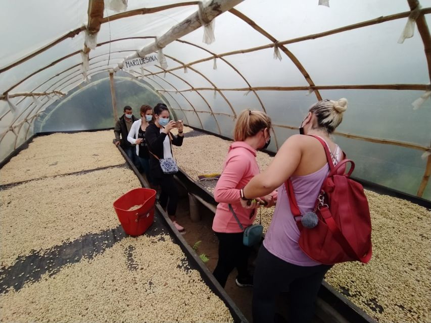 From Medellin: Private Envigado Coffee Tour With Tastings - Booking Information