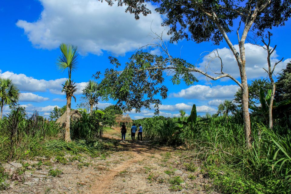 From Mérida: Farming, Cenote, and Ek Balam Pyramids Tour - Exploring From Mérida