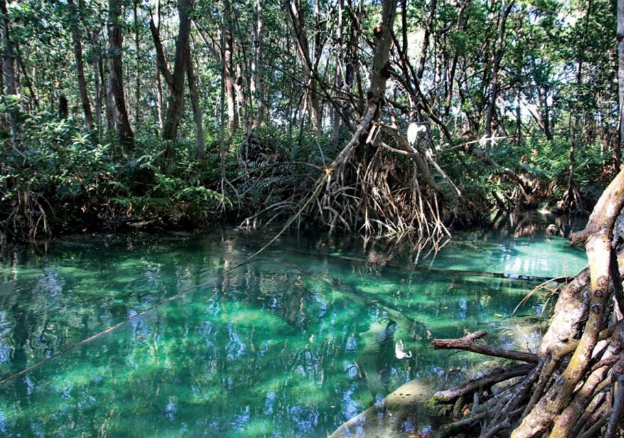 From Mérida: Ria Celestun Biosphere Reserve Tour - Celestún Exploration