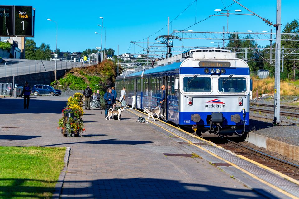 From Narvik: Round-Trip Arctic Train Ride on Ofoten Railway - Flexible Payment Options