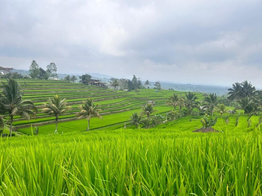 From North Bali :Tanah Lot, Sangeh Forest & Ulun Danu Temple - Pura Ulun Danu Bratan