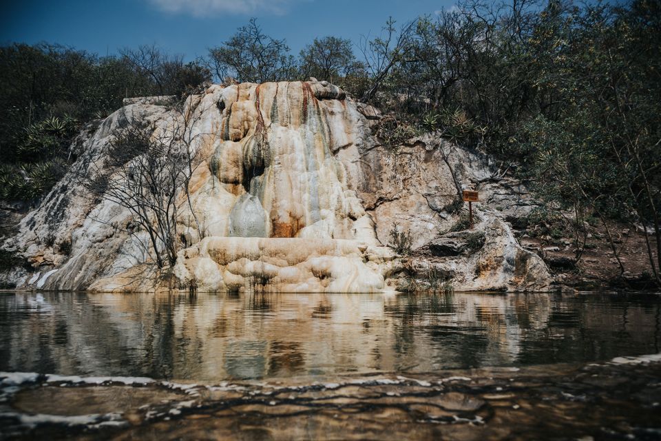 From Oaxaca: Hierve El Agua, Teotitlan, Tule & Yagul - Tree of Tule Ancient Wonder