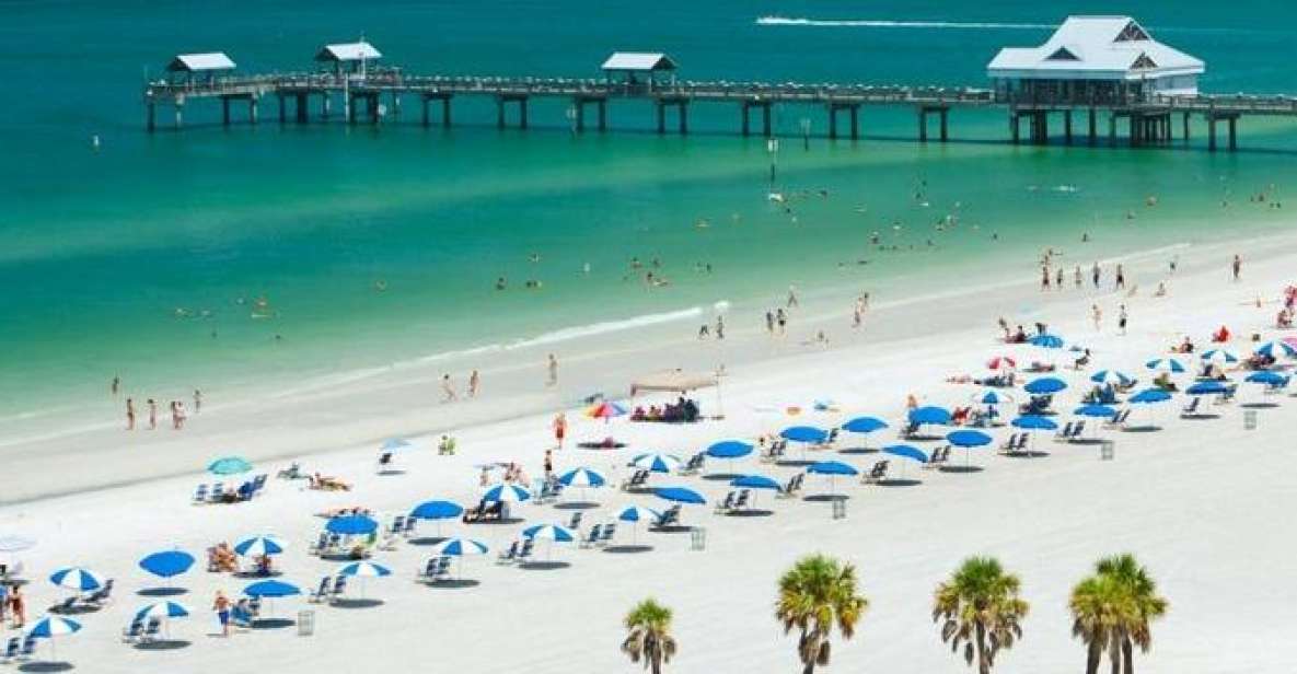 From Orlando: Clearwater Beach and Marine Aquarium Admission - Additional Information