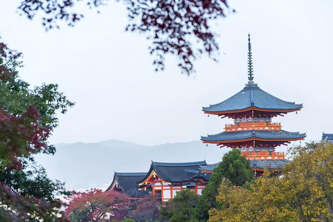 From Osaka: 10-hour Private Custom Tour to Kyoto - Reviews and Ratings Analysis