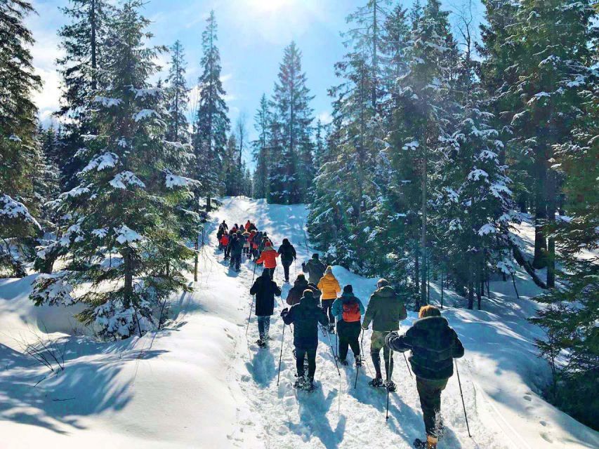 From Oslo: Oslomarka Forest Guided Snowshoeing Tour - Booking and Cancellation Policy