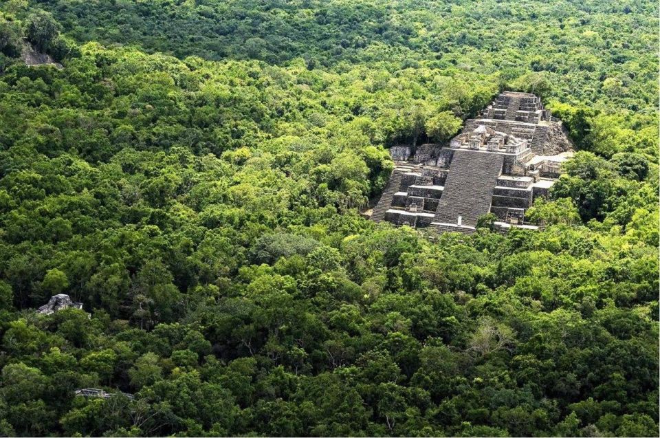 From Palenque: Calakmul Archaeological Zone - Return Journey to Palenque