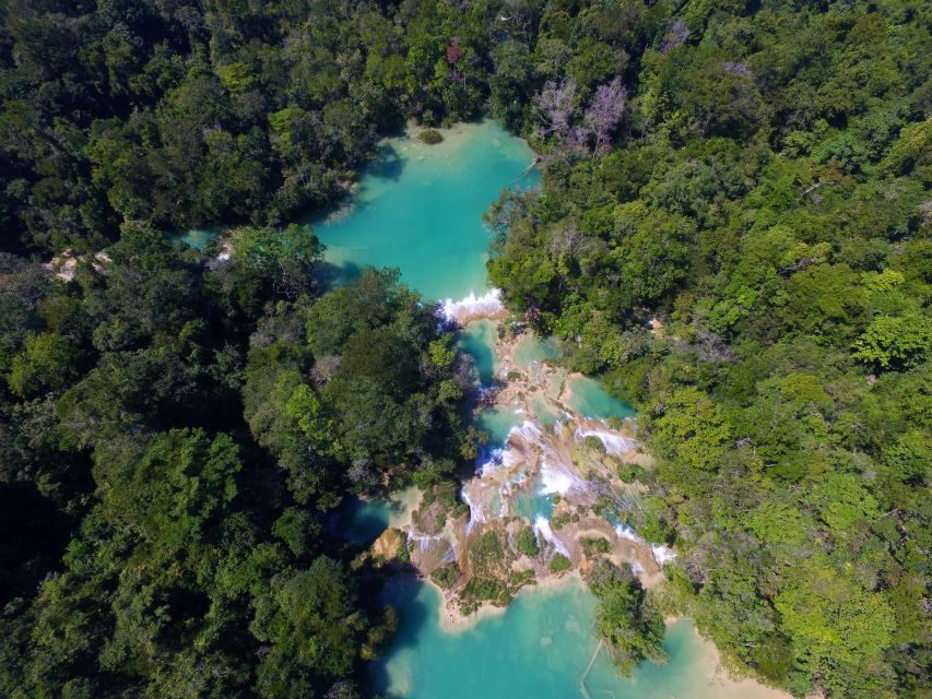 From Palenque: Palenque Ruins and Waterfalls Roberto Barrios - Visitor Feedback