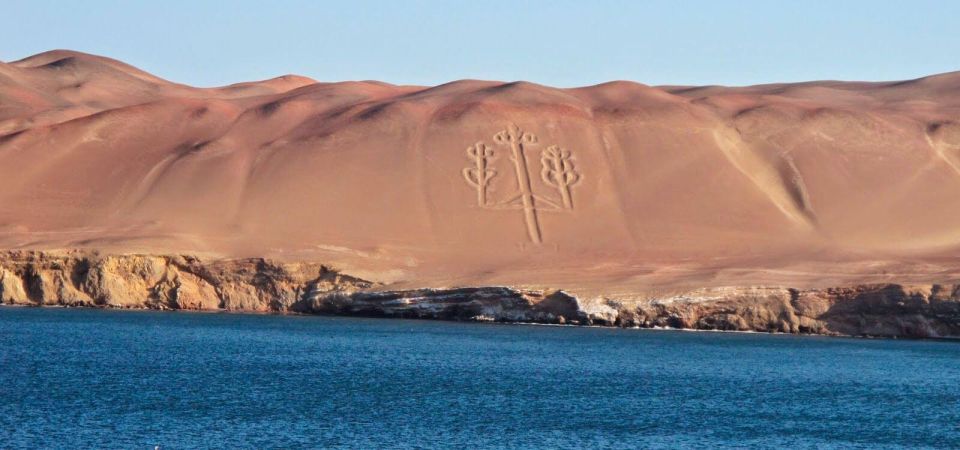 From Paraacas Ballestas Islands Paracas National Reserve - Activity Details