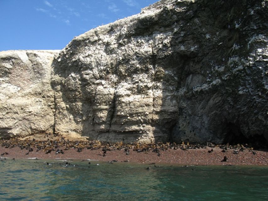 From Paracas: Ballestas Islands Boat Ride Tour - Geoglyph and Wildlife