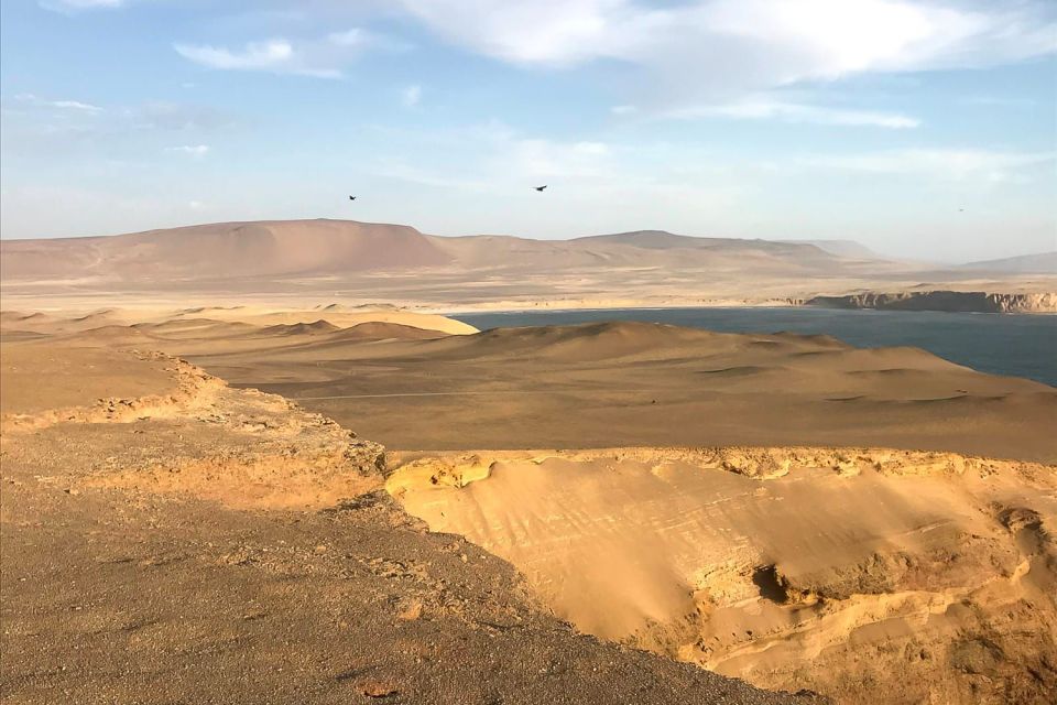 From Paracas: Ballestas Islands & Paracas National Reserve - Booking Information