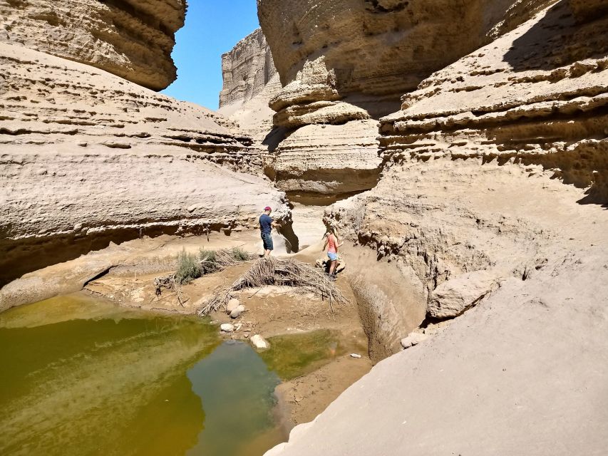 From Paracas/Ica: Canyon of the Lost Guided Day Trip - Pickup and Drop-off