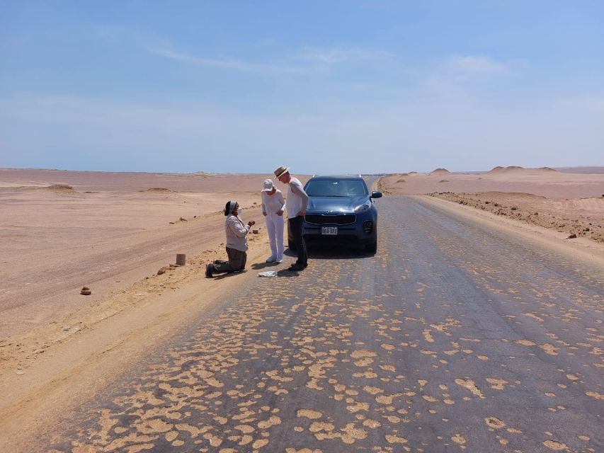 From Paracas: Paracas National Reserve Private Tour - Customer Reviews and Feedback