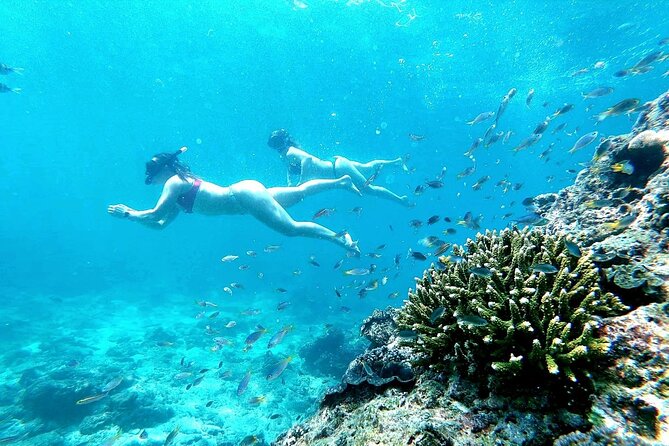 From Phuket: Phi Phi, Maya and Bamboo Islands Full Day Visit - Snorkeling and Swimming Spots