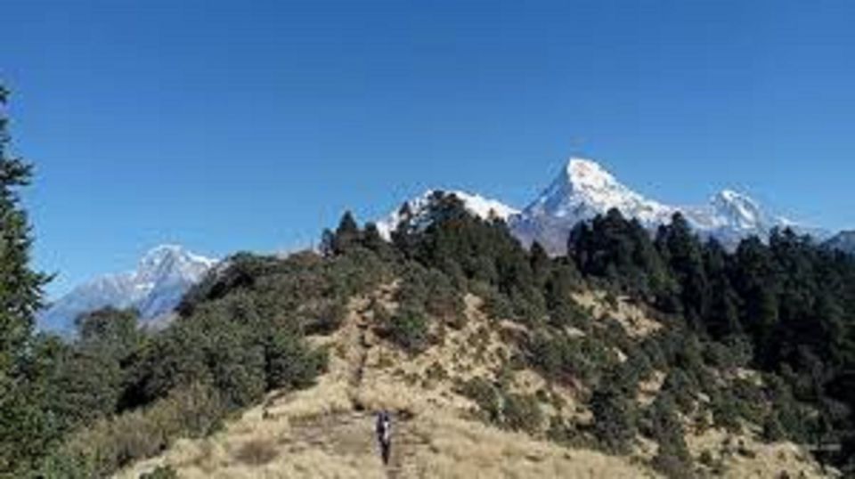 From Pokhara: 3 Night 4 Days Mohare Danda & Poon Hill Trek - Common questions