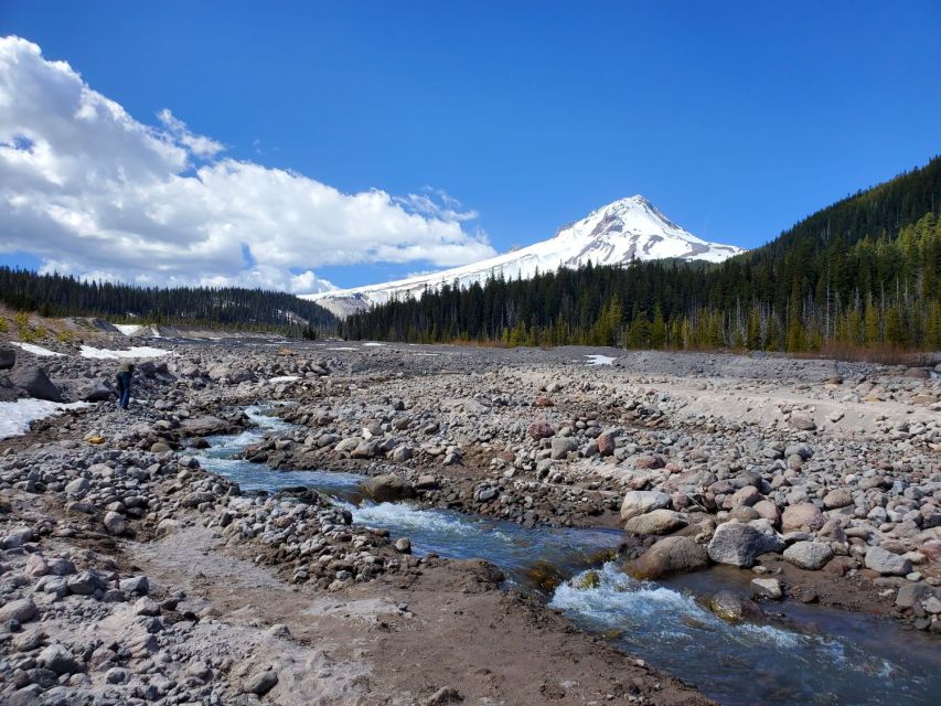 From Portland: Full Day Gorge Waterfalls & Mt. Hood Tour - Culinary Delights