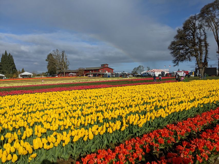 From Portland: Wooden Shoe Tulip Farm Festival Entry Ticket - Booking Details