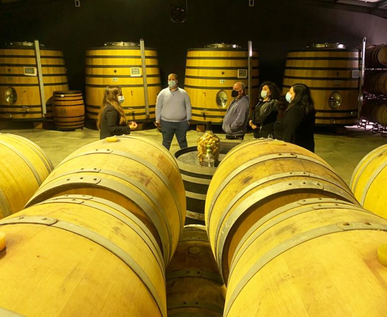 From Porto: a Day in the Douro Valley With Wine Tastings - Additional Information