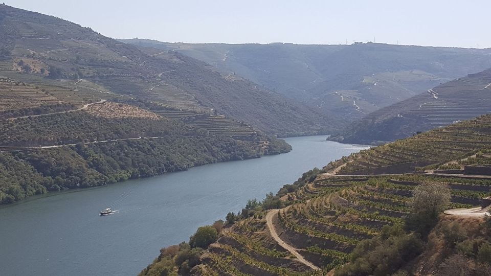 From Porto Douro Valley Tour Wine Tasting River Cruise Lunch - Scenic Boat Trip and Landscapes