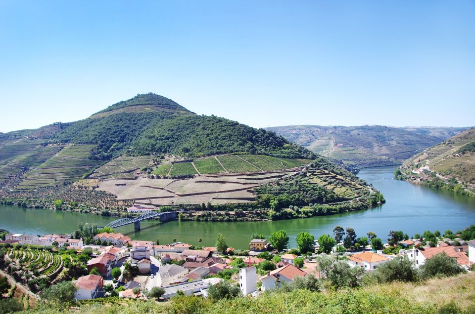 From Porto: Full-Day Douro Tour - Customer Feedback