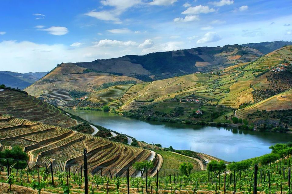 From Porto: Pinhão and Douro Valley Scenic Boat Tour - Customer Reviews