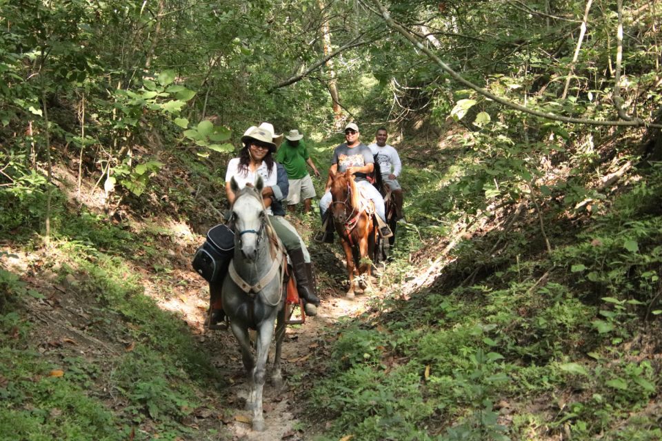 From Puerta Vallarta: Jungle Horseback Riding Tour - Explore Native Flora and Fauna