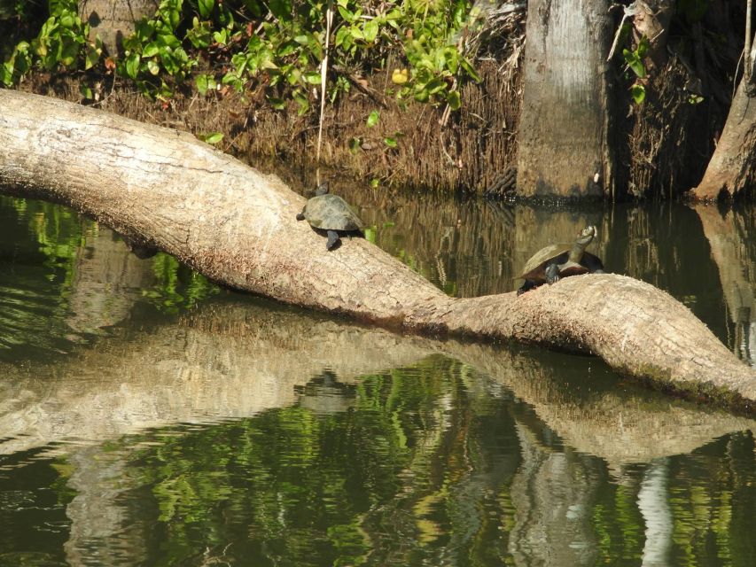 From Puerto Maldonado: Tambopata National Reserve 3-Day Tour - Tour Highlights