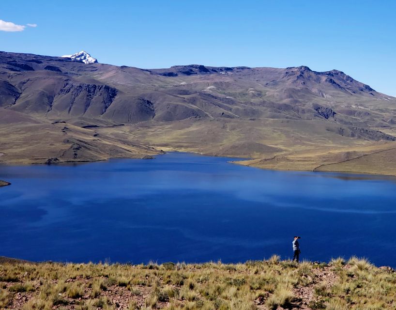 From Puno: 2-Day Colca Canyon Tour to Arequipa - Detailed Itinerary Provided