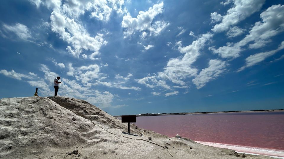 From Riviera: Las Coloradas - Safari & Salt Mining Day Trip - Full Experience Description