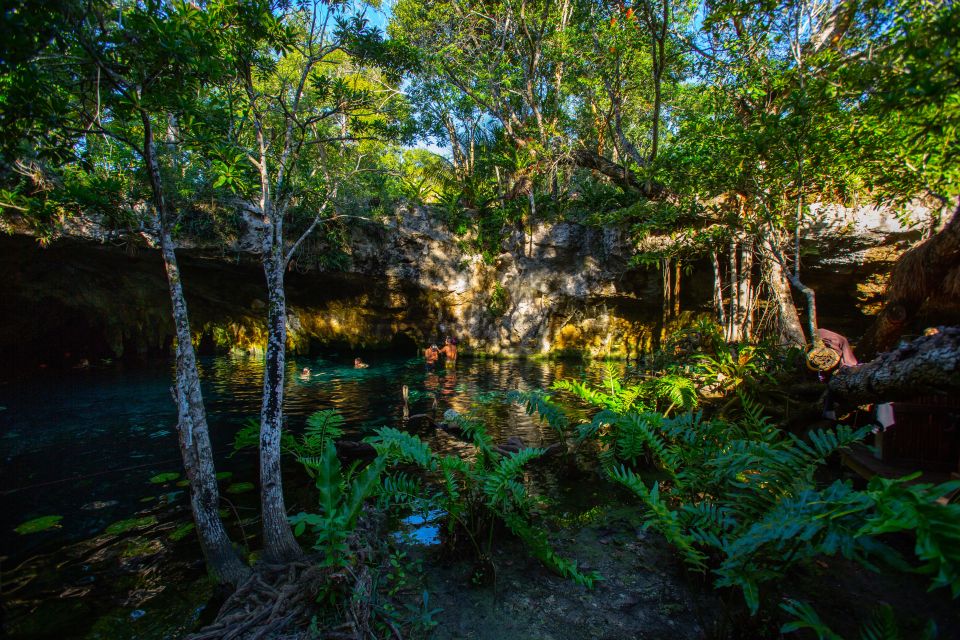 From Riviera Maya: 3 Cenotes Adventure With Lunch - Common questions